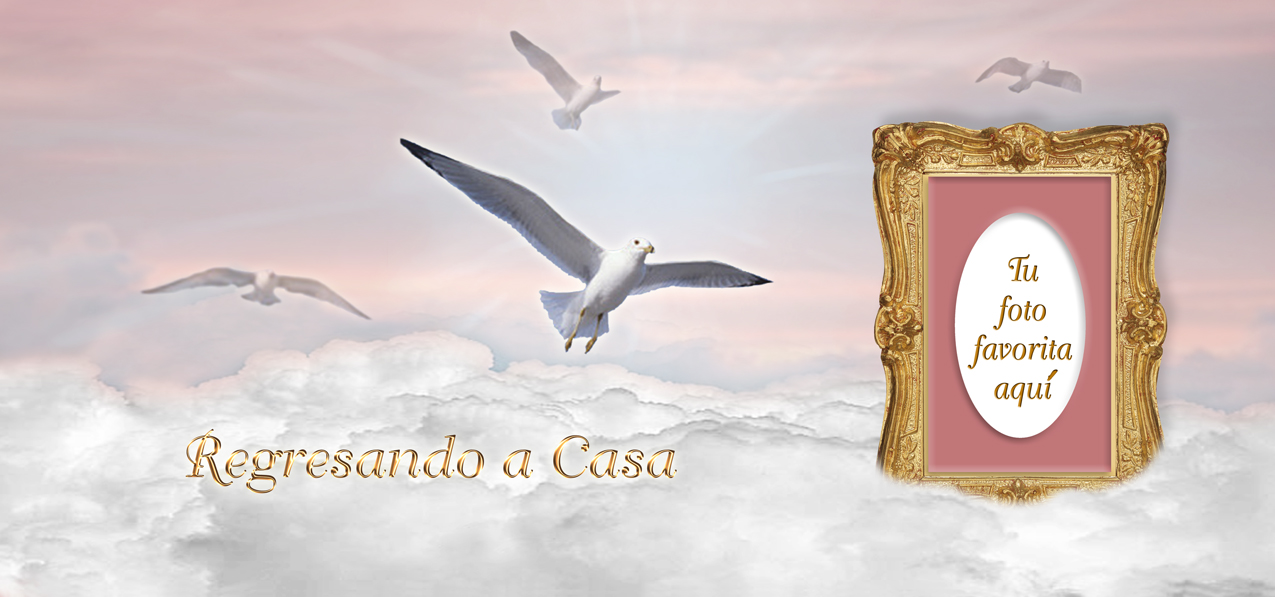 Regresando a Casa Birds Pink